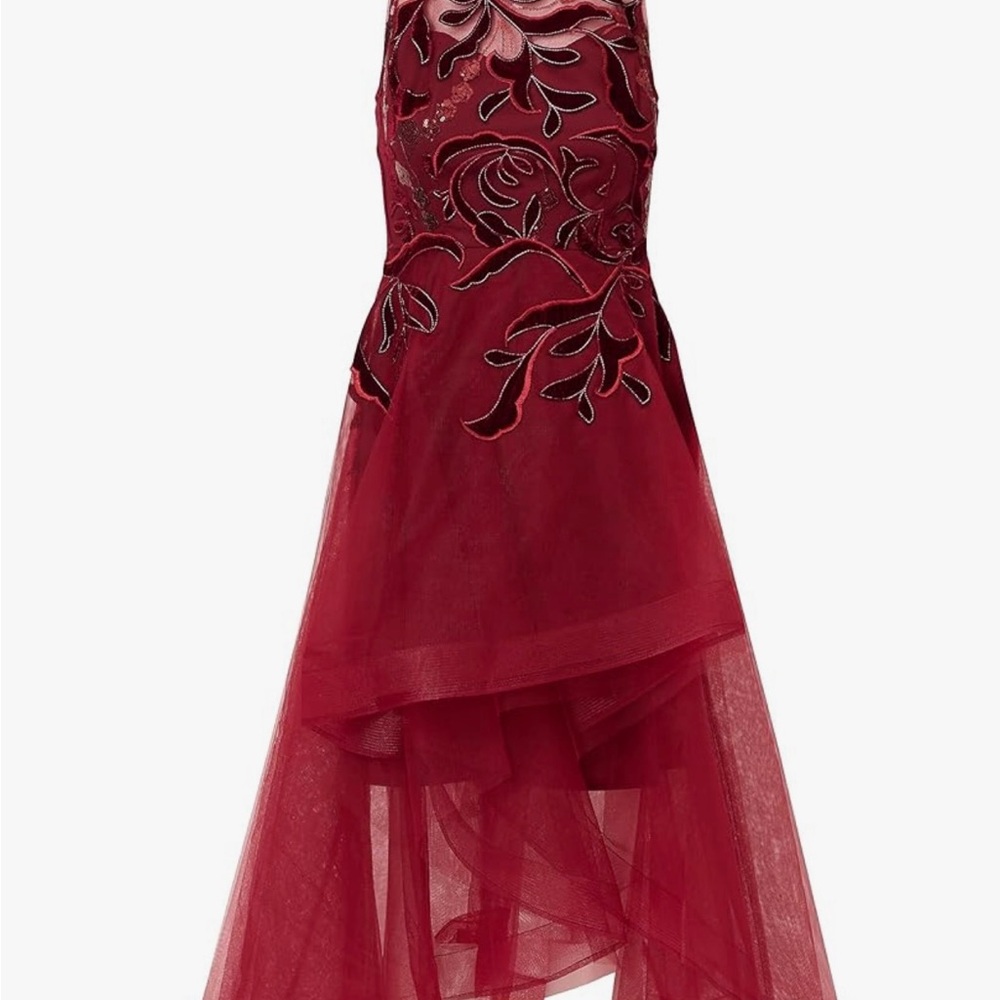 Adrianna Papell Wine Asymmetrical Dress